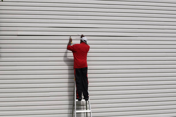 Best Steel Siding Installation  in Hodgenville, KY